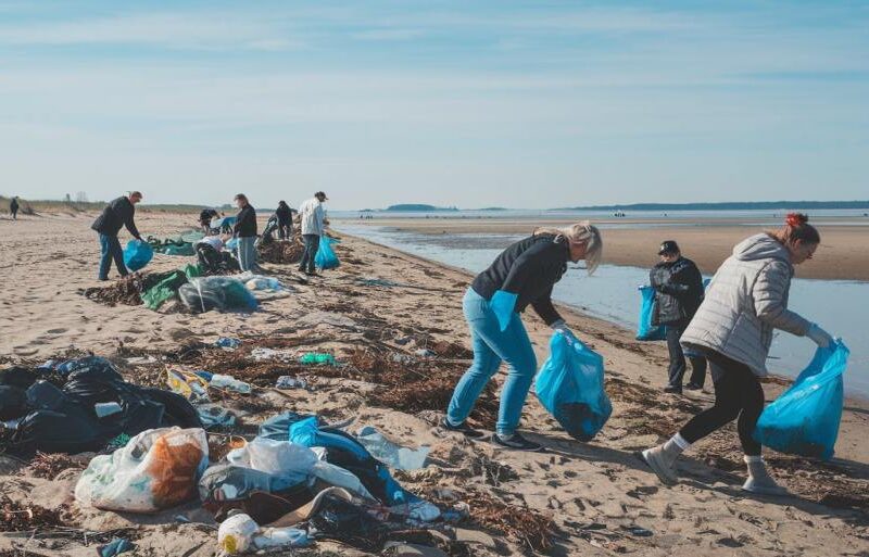 Mit tehetünk a klímaváltozás ellen